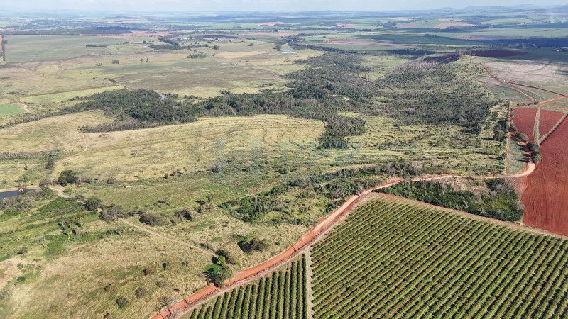 OPB Imóveis | Imobiliária em Ribeirão Preto | SP - Fazenda - RURAL - MOCOCA