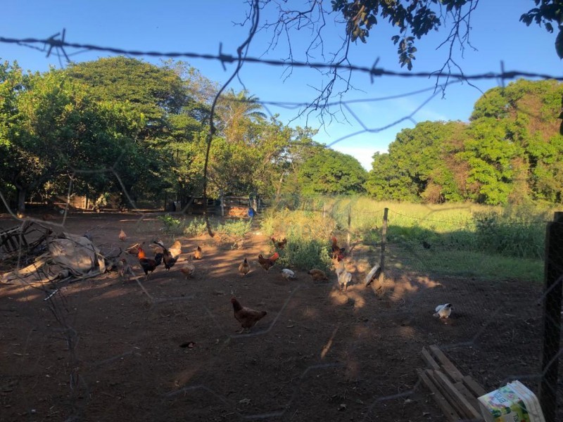 Chácara - RIBEIRAO VERDE - Ribeirão Preto