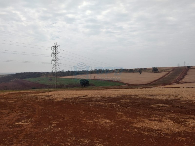 OPB Imóveis | Imobiliária em Ribeirão Preto | SP - Fazenda - RURAL - Batatais