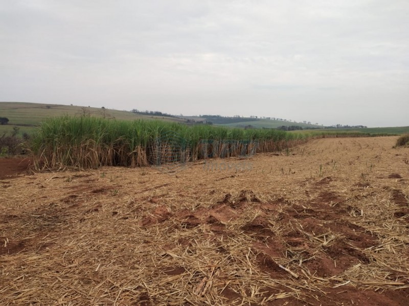 Fazenda - RURAL - Batatais