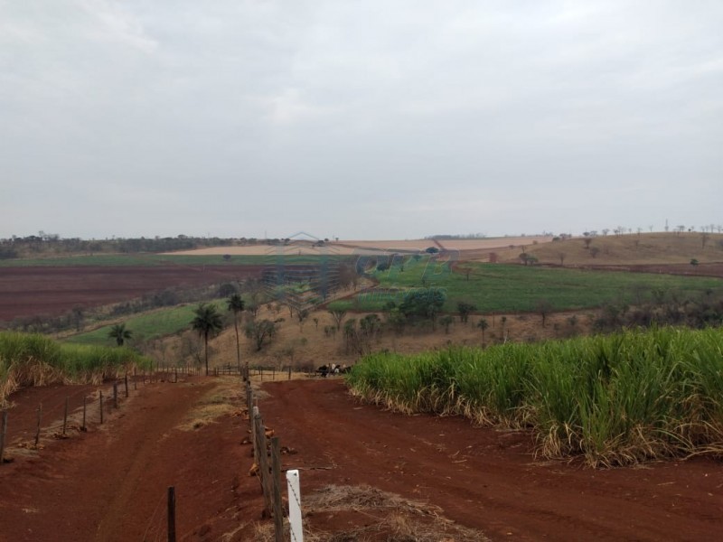 OPB Imóveis | Imobiliária em Ribeirão Preto | SP - Fazenda - RURAL - Batatais