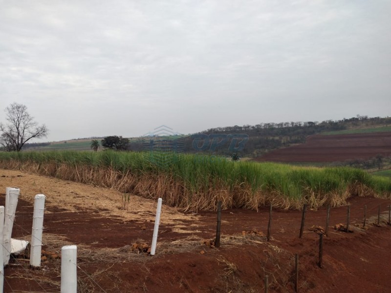 OPB Imóveis | Imobiliária em Ribeirão Preto | SP - Fazenda - RURAL - Batatais