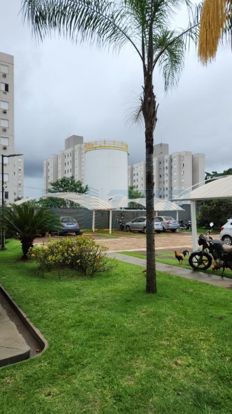 Apartamento - Ipiranga - Ribeirão Preto