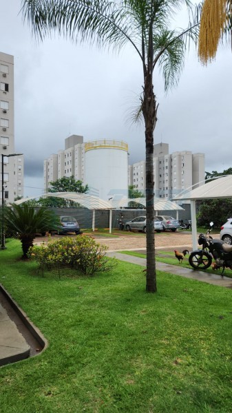 OPB Imóveis | Imobiliária em Ribeirão Preto | SP - Apartamento - Ipiranga - Ribeirão Preto