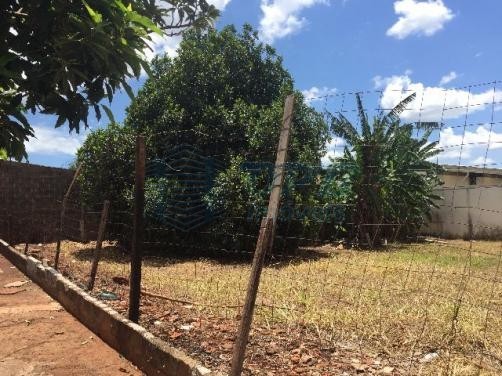 Terreno - Jardim Zara - Ribeirão Preto