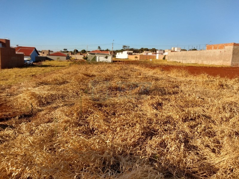 OPB Imóveis | Imobiliária em Ribeirão Preto | SP - Terreno - Centro - Brodowski