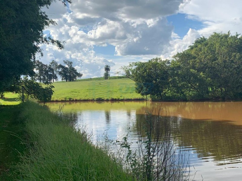 OPB Imóveis | Imobiliária em Ribeirão Preto | SP - Sítio - RURAL - Brodowski