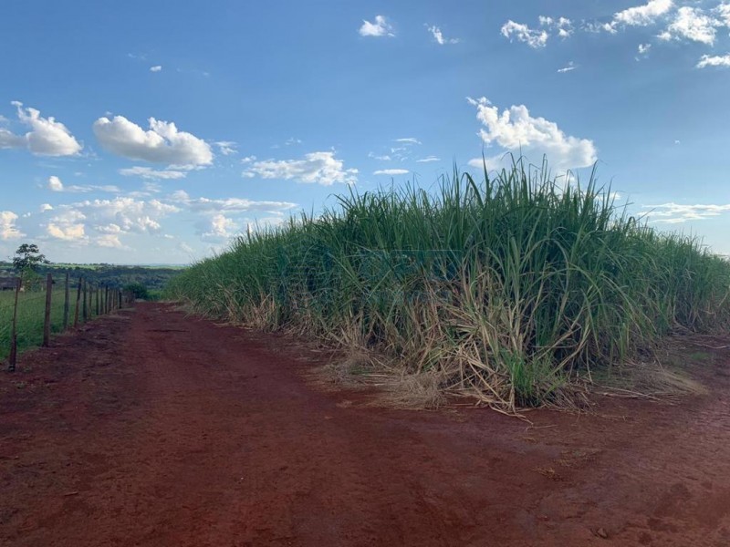 OPB Imóveis | Imobiliária em Ribeirão Preto | SP - Sítio - RURAL - Brodowski