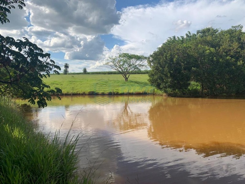 OPB Imóveis | Imobiliária em Ribeirão Preto | SP - Sítio - RURAL - Brodowski