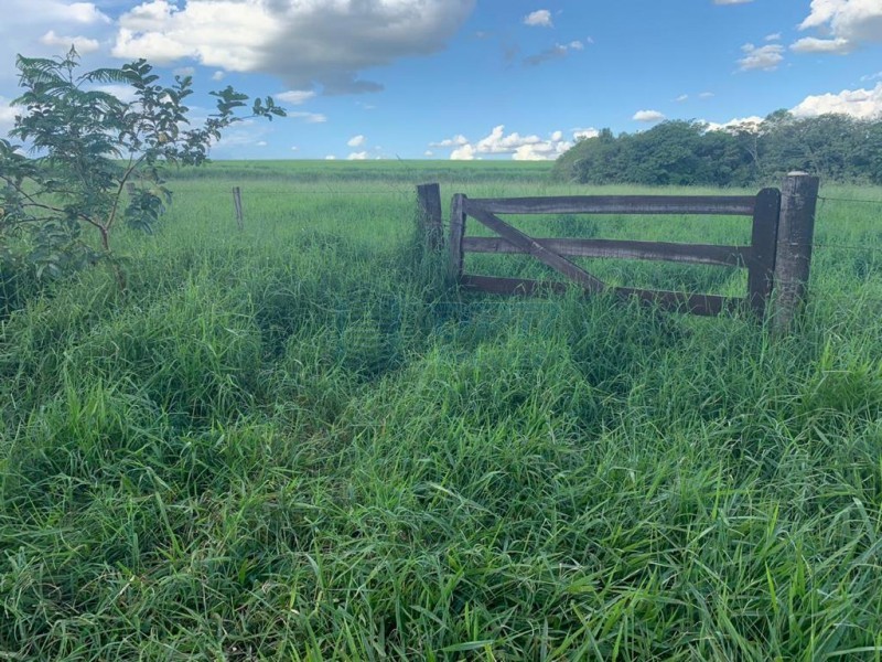 OPB Imóveis | Imobiliária em Ribeirão Preto | SP - Sítio - RURAL - Brodowski